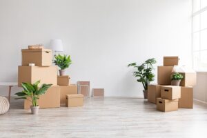 a room with boxes and plants for decluttering your house 